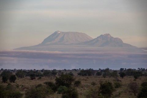 View on a safari