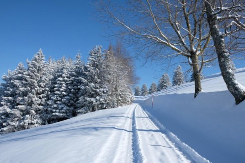 Hiking trail near Gersbach