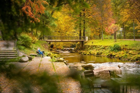 Course of the river Enz with bridge