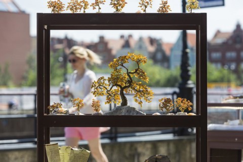 City view of Gdansk