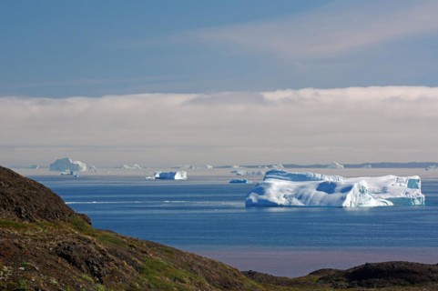 Icebergs in a wide bay