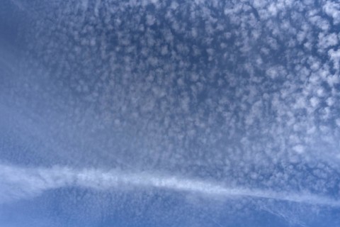 Sheep clouds