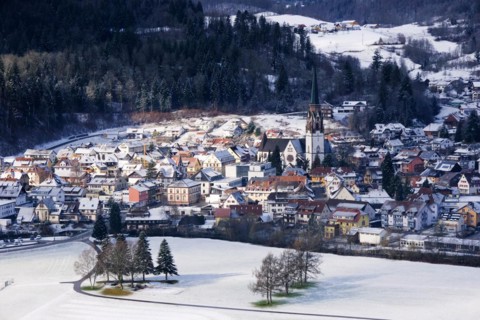 Schoenau