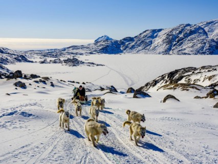 Inuit with his dog sled team