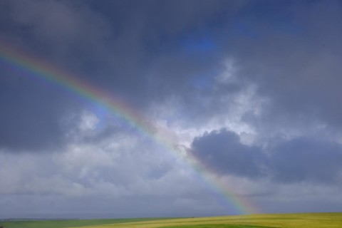 Rainbow near Heidelberg