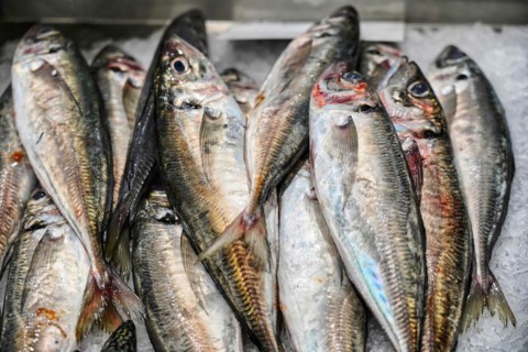 Seafood