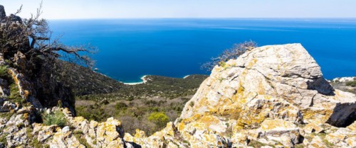 View of the blue sea and the sandy beach