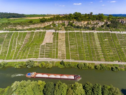 Hessigheim rock gardens with barge on the Neckar