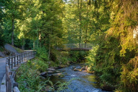 Course of the river Enz with bridge