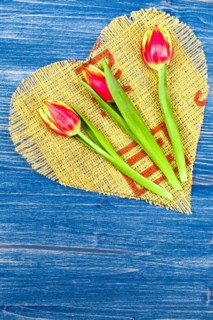 Three Tulips on Brown Linen Heart