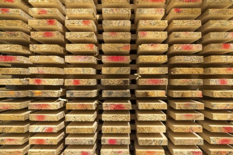 Sawn timber