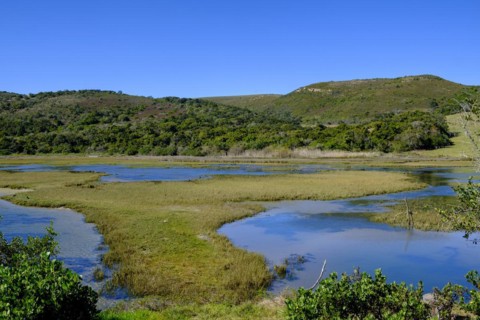 Inner Lagoon