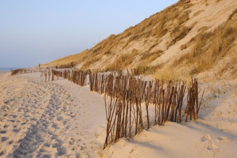 Sticks as a protective fence in front of the dunes