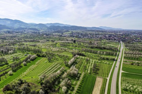 Spring in the Renchtal in the Ortenau