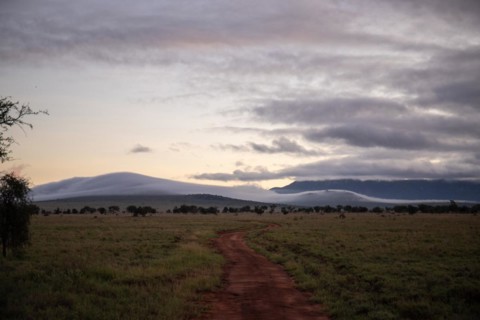 View on a safari