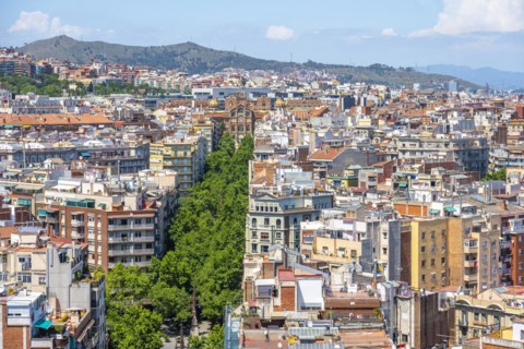 View over the houses of the city