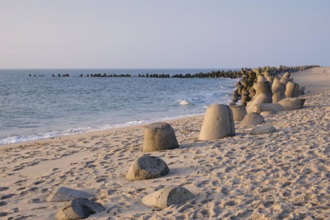 Tetrapods