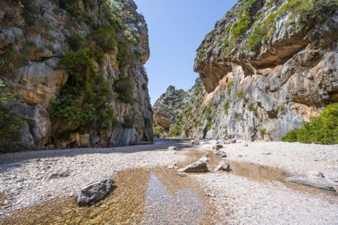 Ravine with river Torrent de Pareis