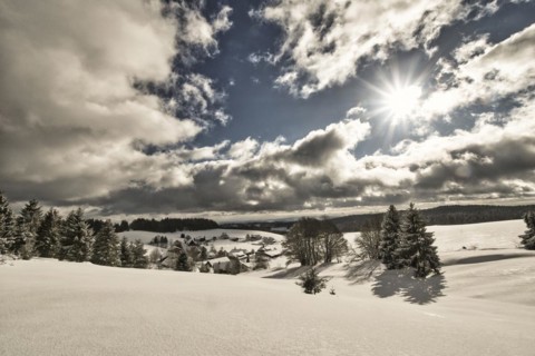 Winter landscape