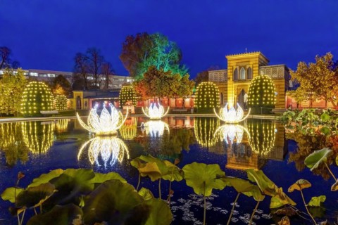 Christmas Garden