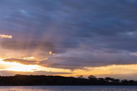 Sunbeams over a lake