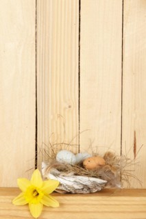 Easter nest from a shell with some Easter eggs