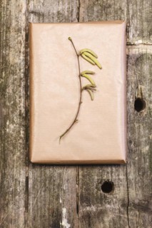 Hazelnut branch on wrapping paper