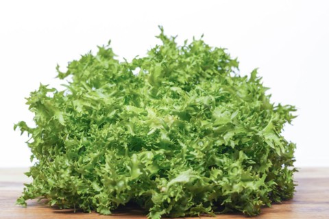 Curly endive isolated on white background on a wooden table