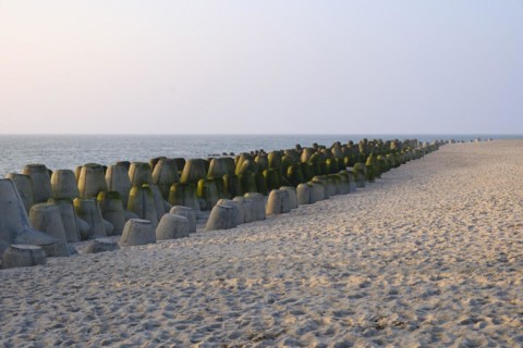 Tetrapods