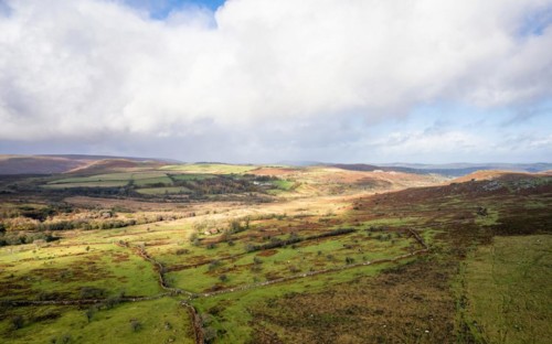 View over Emsworthy Mire from a drone