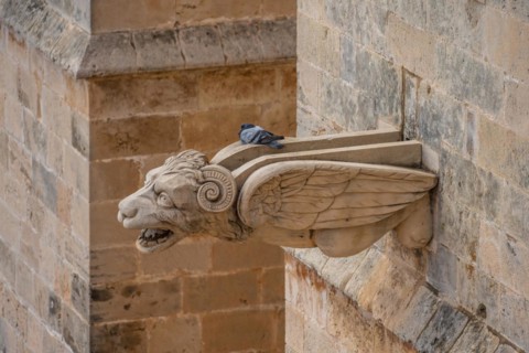 Architecture Detail