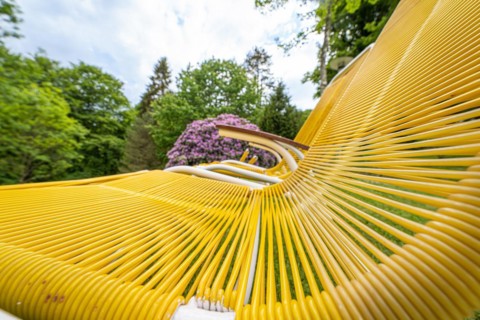 Yellow loungers in the spa gardens