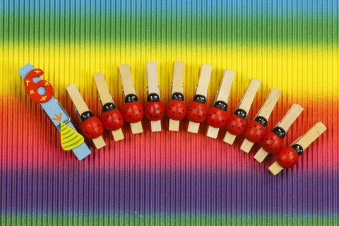 Clothes pegs and number 6