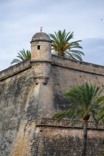Fortress wall with tower