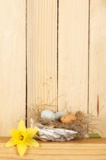 Easter nest made of a shell with eggs