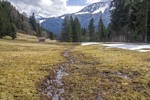 Landscape below the Engenkopf