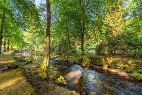 Course of the river Enz in summer