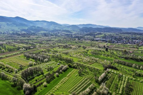 Spring in the Renchtal in the Ortenau
