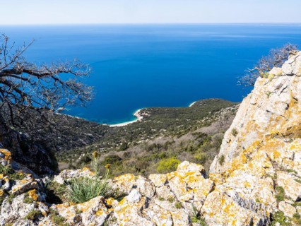 View of the blue sea and the sandy beach