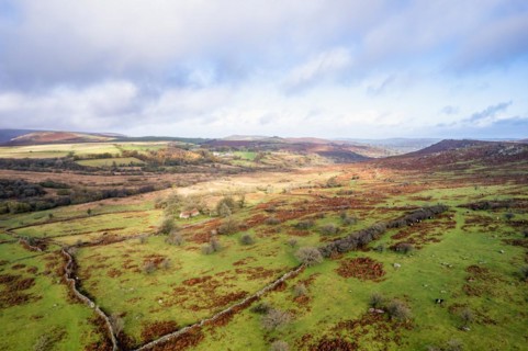 View over Emsworthy Mire from a drone