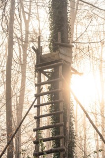 High seat on tree in sunrise