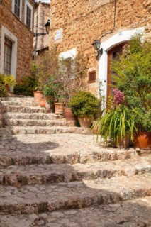 Flower pots in alley with typical stone houses