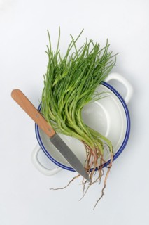 Monk's beard with knife on pot