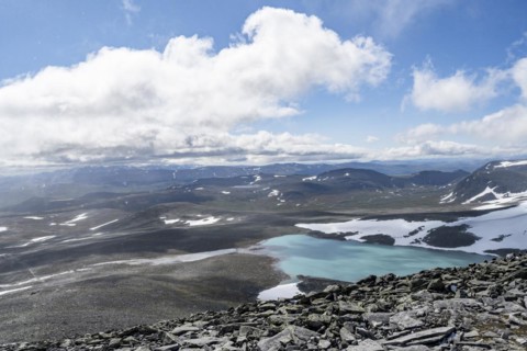 Tundra