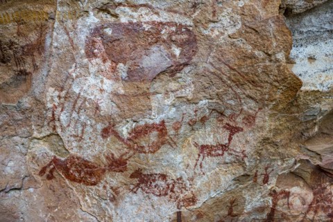 Rock art painting at Pedra Furada