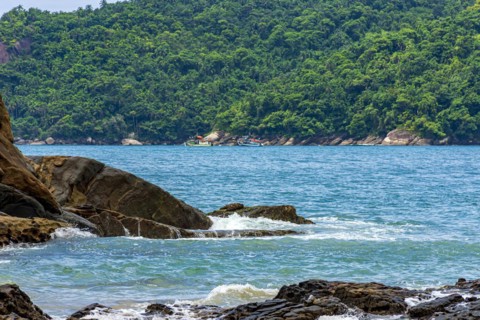 The sea of Trindade