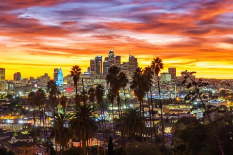 View of Downtown Los Angeles Skyline with Palm Trees at Sunset in California in Los Angeles