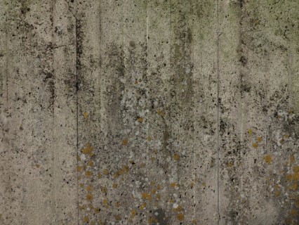 Grey concrete texture background