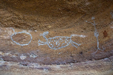 Rock art painting at Pedra Furada