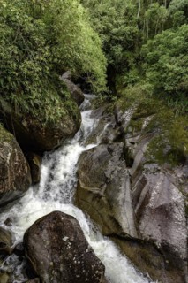 Small cascade between the rocks and the natural vegetation of the brazilian rainforest in Itatiaia
